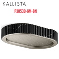 Đầu vòi sen mưa gắn trần viền đá đen màu nickel Kallista P30530-NM-BN