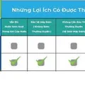 Bồn nước kháng khuẩn Thái Lan Wave The Palm D1000XLB 1000L xanh lục bảo
