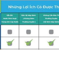 Bồn nước kháng khuẩn Thái Lan Wave Flora D2000THC 2000L tím hoa cà
