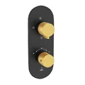 Bộ vòi sen nhiệt độ âm tường Ấn Độ màu đen vàng Jaquar LAG-BGM-91683NK