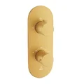 Mặt nạ sen nhiệt độ âm tưởng Ấn Độ màu vàng Jaquar LAG-GMP-91681NK