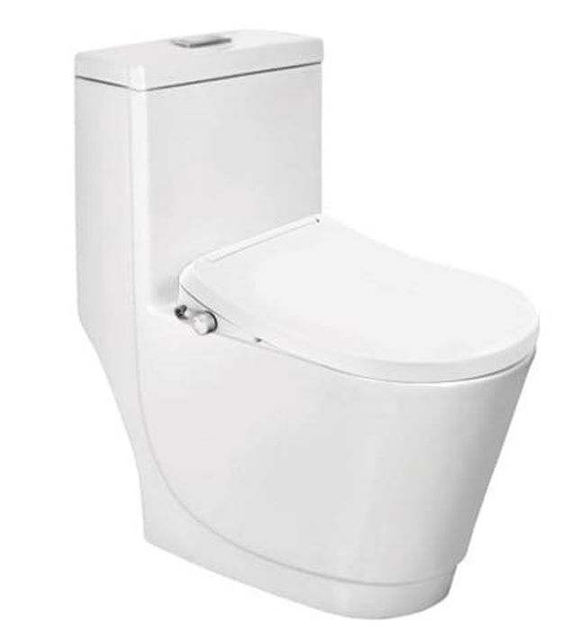 Bồn cầu 1 khối nắp điện tử Ấn Độ Jaquar ITS-WHT-15853S300PP