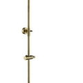 Thanh trượt sen tắm kèm đầu nối sen mạ đồng cổ Jaquar SHA-ABR-1213