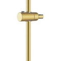 Thanh trượt sen tắm mạ vàng sáng Jaquar SHA-GBP-1197N