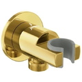 Gác sen tắm thép mạ vàng sáng Jaquar SHA-GBP-566R