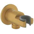 Gác sen tắm thép mạ vàng mờ Jaquar SHA-GMP-566R