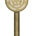 Tay sen tắm tròn một chức năng mạ đồng cổ Jaquar HSH-ABR-1653