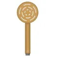 Tay sen tắm tròn một chức năng mạ vàng mờ Jaquar HSH-GMP-165