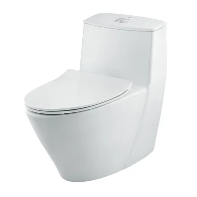 Bàn cầu 1 khối nắp rơi êm Inax AC-919VRN/BW1