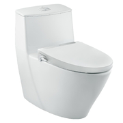 Bồn cầu 1 khối nắp rửa cơ Inax AC-919R+CW-S32VN