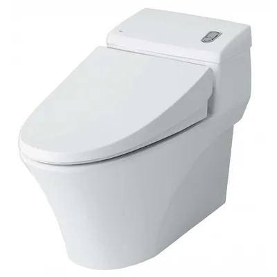Bàn cầu 1 khối nắp êm xả nhấn Inax AC-1008VRN/BW1