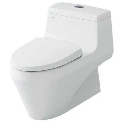 Bàn cầu 1 khối nắp êm xả nhấn Inax AC-1035VN/BW1