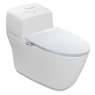 Bồn Cầu 1 Khối Nắp Rửa Cơ Inax AC-1032+CW-S32VN/BW1