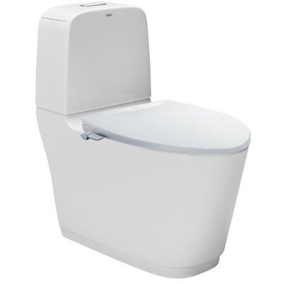 Bồn cầu 2 khối nắp rửa cơ Inax AC-832+CW-S32VN (S400)