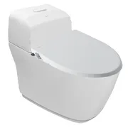 Bàn cầu 1 khối nắp rửa cơ Inax AC-1032+CW-S15VN/BW1