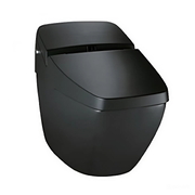 Bàn cầu cảm ứng thông minh Inax REGIO DV-R115VH-VN/BKG