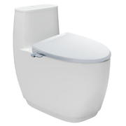 Bồn Cầu 1 Khối Nắp Rửa Cơ Inax AC-1052+CW-S32VN