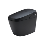 Bồn cầu cảm ứng thông minh màu đen INAX AC-G216VN/BKG