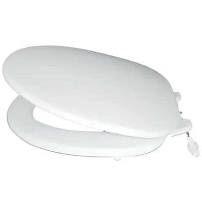 Nắp bồn cầu thường Inax CF-37AKV/BW1 (Dùng cho bồn cầu C117,C108)
