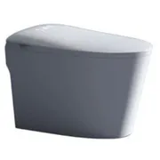 Bồn cầu điện tử Clara CT-500