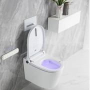 Bồn cầu treo tường thông minh Clara CT-409W