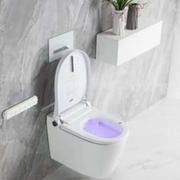 Bồn cầu treo tường thông minh Clara CT-409W