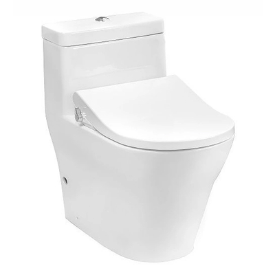 Bồn cấu 1 khối nắp rửa cơ TOTO CW166RB/TCW09S