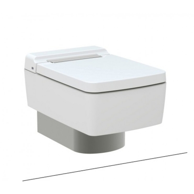 Bồn Cầu Treo Tường Nắp Êm TOTO CW512YR/9AE0017/TC501CVK