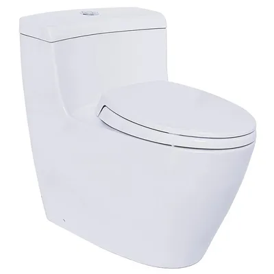 Bàn Cầu 1 Khối Xả Nhấn Nắp Êm TOTO MS636DT2#XW