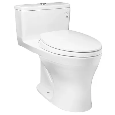 Bàn Cầu 1 Khối Xả Nhấn Nắp Êm TOTO MS855DT2