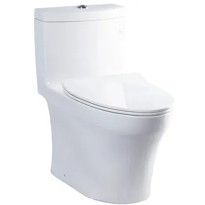 Bàn cầu 1 khối xả nhấn nắp êm TOTO MS889DRT8