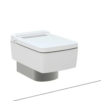 Bàn cầu âm treo tường xả nhấn nắp êm TOTO CW512YR/7EE0007/TC501CVK