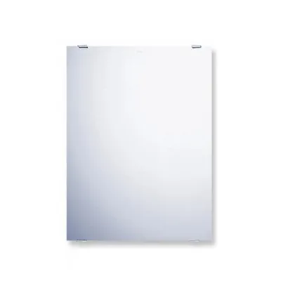 Gương Phòng Tắm Chống Mốc Chữ Nhật TOTO YM4560A 45x60cm