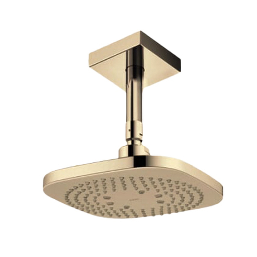 Bát sen gắn trần TOTO TBW02003B1A#BFG