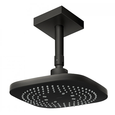 Bát sen gắn trần TOTO TBW02003B1B#MBL