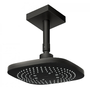 Bát sen gắn trần TOTO TBW02003B1B#MBL