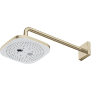 Bát Sen Gắn Tường TOTO TBW02004A#BFG