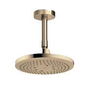 Bát sen gắn trần TOTO TBW01003B1A#BBR