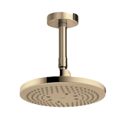 Bát sen gắn trần TOTO TBW01003B1A#BFG