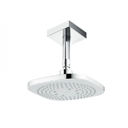 Bát sen gắn trần TOTO TBW02003B1A