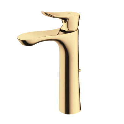 Vòi gật gù nóng lạnh TOTO TLG01304B#PFG