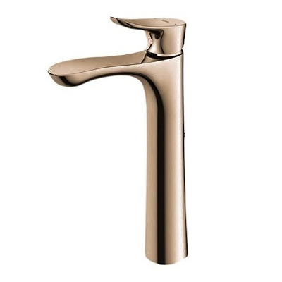 Vòi gật gù nóng lạnh TOTO TLG01307B#BBR