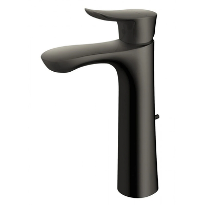 Vòi gật gù nóng lạnh TOTO TLG01304B#MBL