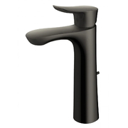 Vòi gật gù nóng lạnh TOTO TLG01304B#MBL