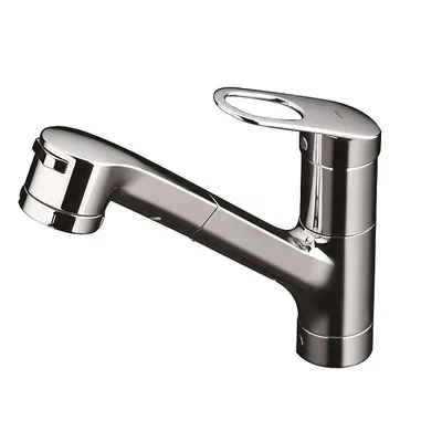 Vòi rửa bát nóng lạnh gắn chậu TOTO TKGG32EBS