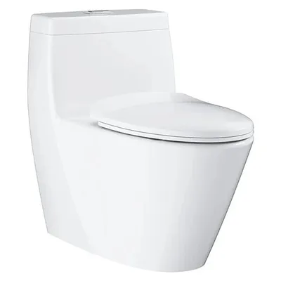 Bồn Cầu 1 Khối Nắp Êm Grohe 39316000