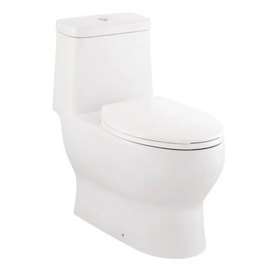 Bồn Cầu Một Khối Nắp Êm Kohler K-99192X-S-WK