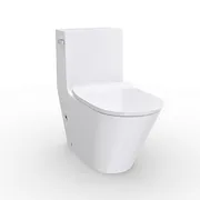 Bồn Cầu Liền Một Khối Nắp Êm Brazin Kohler K-EX22379T-SL-0