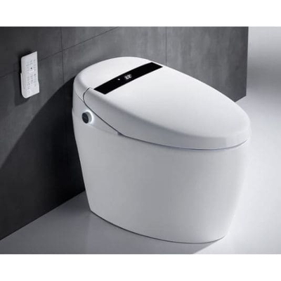 Bồn Cầu Thông Minh Selta BTM-393