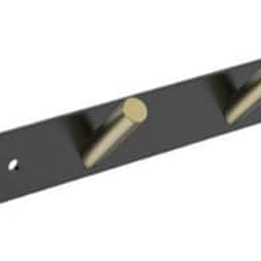 Móc áo 4 vấu Ecobath EC2031-4MBG